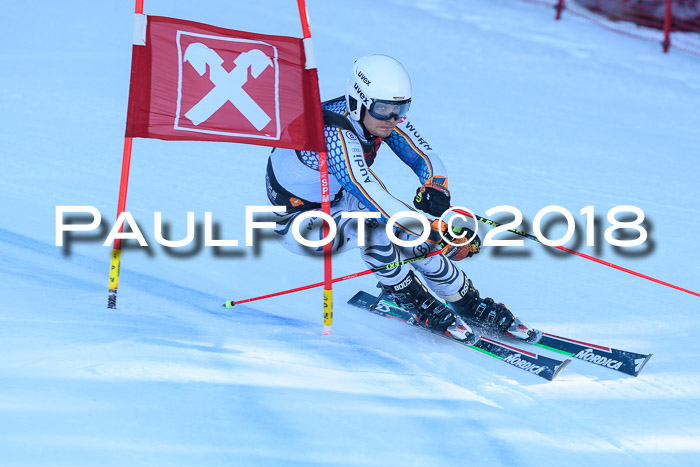 Int. FIS Rennen Herren, RS, Maria Alm 10.01.2018