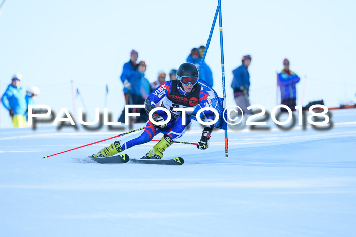 Int. FIS Rennen Herren, RS, Maria Alm 10.01.2018
