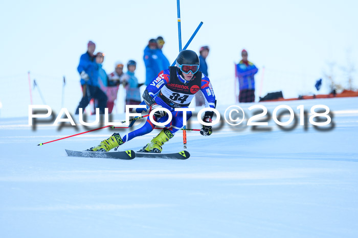 Int. FIS Rennen Herren, RS, Maria Alm 10.01.2018