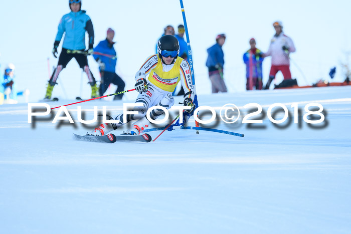 Int. FIS Rennen Herren, RS, Maria Alm 10.01.2018