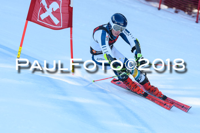 Int. FIS Rennen Herren, RS, Maria Alm 10.01.2018