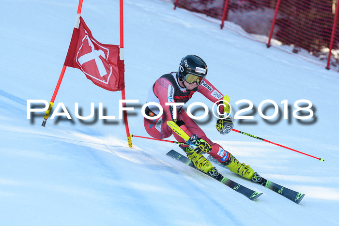 Int. FIS Rennen Herren, RS, Maria Alm 10.01.2018