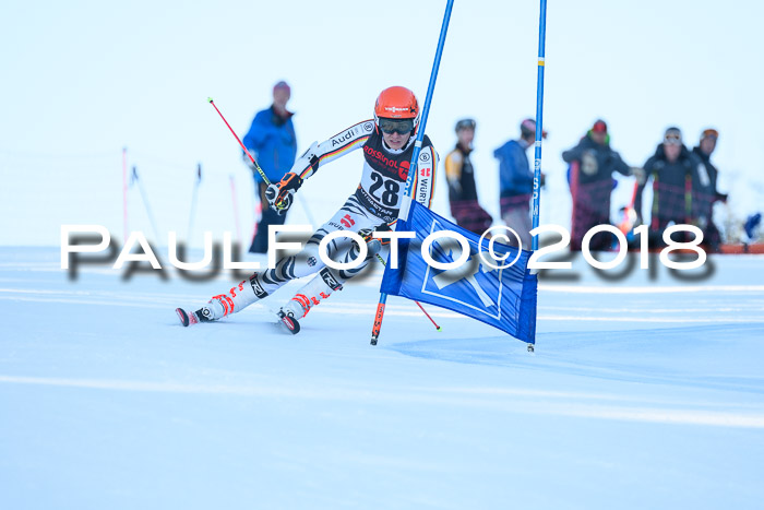 Int. FIS Rennen Herren, RS, Maria Alm 10.01.2018