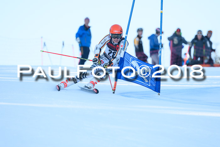 Int. FIS Rennen Herren, RS, Maria Alm 10.01.2018