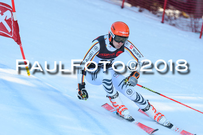 Int. FIS Rennen Herren, RS, Maria Alm 10.01.2018