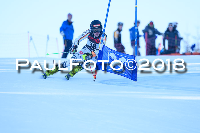 Int. FIS Rennen Herren, RS, Maria Alm 10.01.2018
