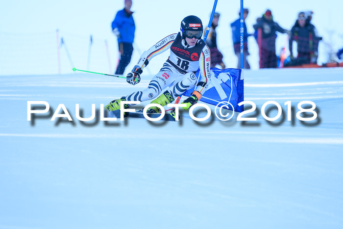 Int. FIS Rennen Herren, RS, Maria Alm 10.01.2018