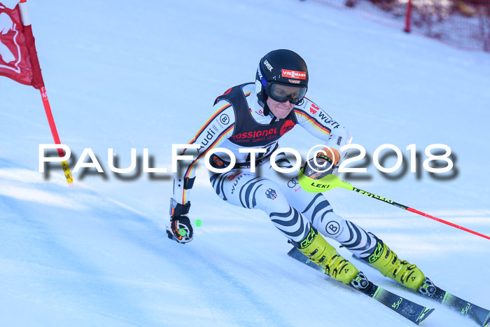 Int. FIS Rennen Herren, RS, Maria Alm 10.01.2018