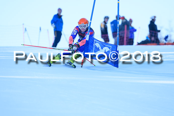 Int. FIS Rennen Herren, RS, Maria Alm 10.01.2018