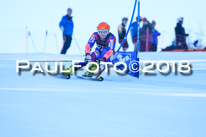 Int. FIS Rennen Herren, RS, Maria Alm 10.01.2018