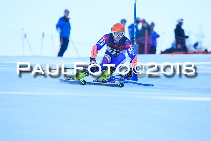 Int. FIS Rennen Herren, RS, Maria Alm 10.01.2018