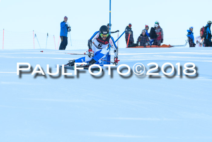 Int. FIS Rennen Herren, RS, Maria Alm 10.01.2018