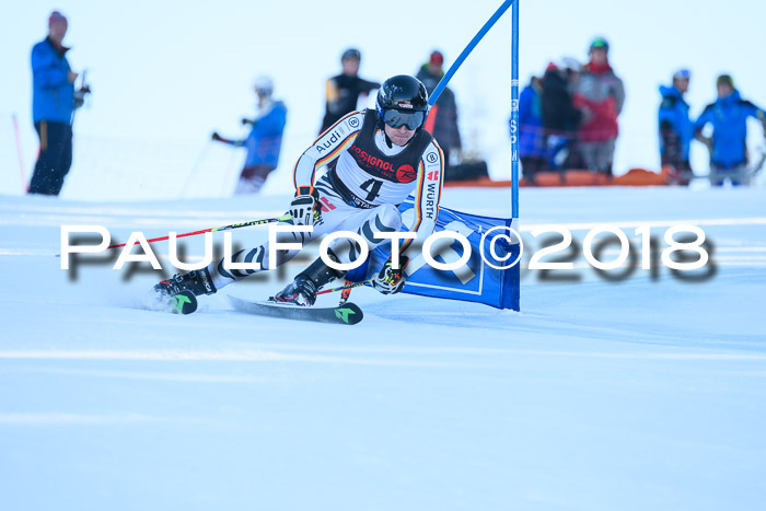 Int. FIS Rennen Herren, RS, Maria Alm 10.01.2018