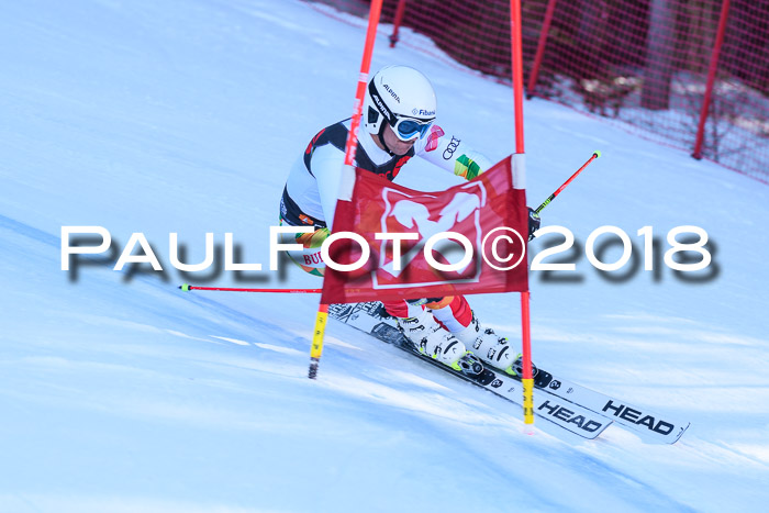 Int. FIS Rennen Herren, RS, Maria Alm 10.01.2018