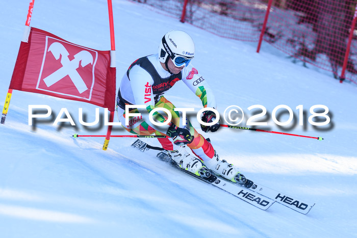Int. FIS Rennen Herren, RS, Maria Alm 10.01.2018