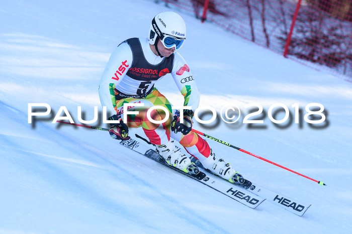 Int. FIS Rennen Herren, RS, Maria Alm 10.01.2018