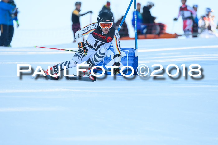 Int. FIS Rennen Herren, RS, Maria Alm 10.01.2018