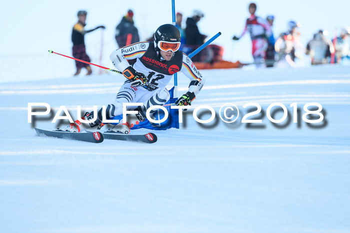 Int. FIS Rennen Herren, RS, Maria Alm 10.01.2018