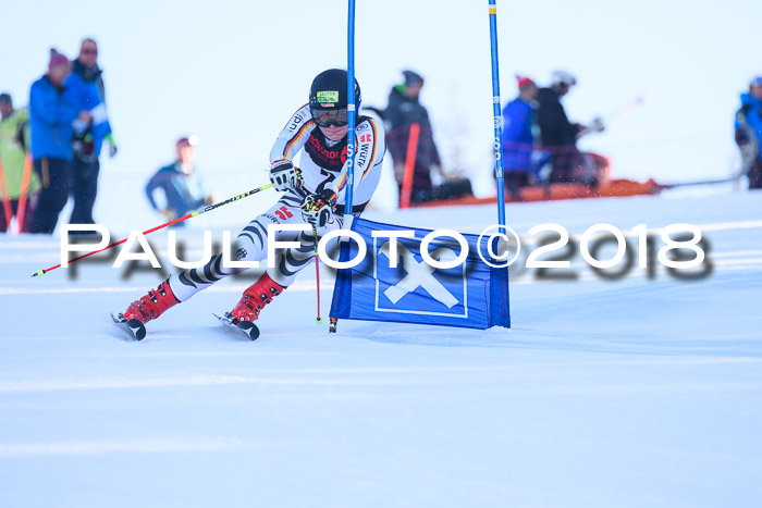 Int. FIS Rennen Herren, RS, Maria Alm 10.01.2018