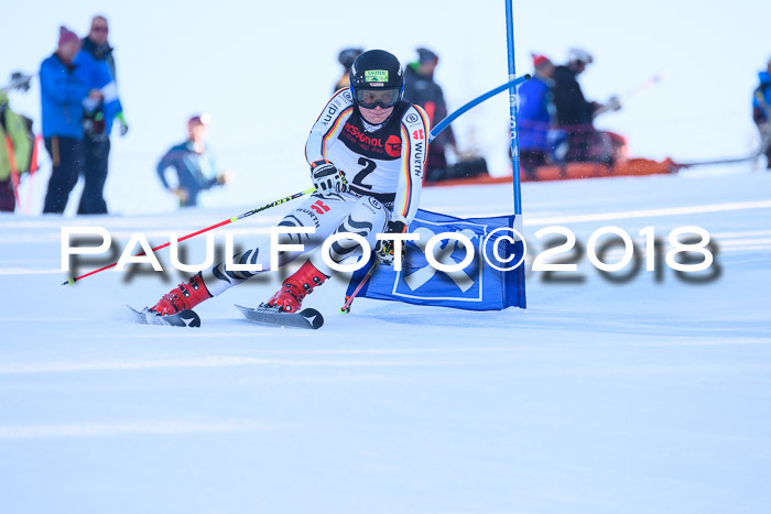 Int. FIS Rennen Herren, RS, Maria Alm 10.01.2018