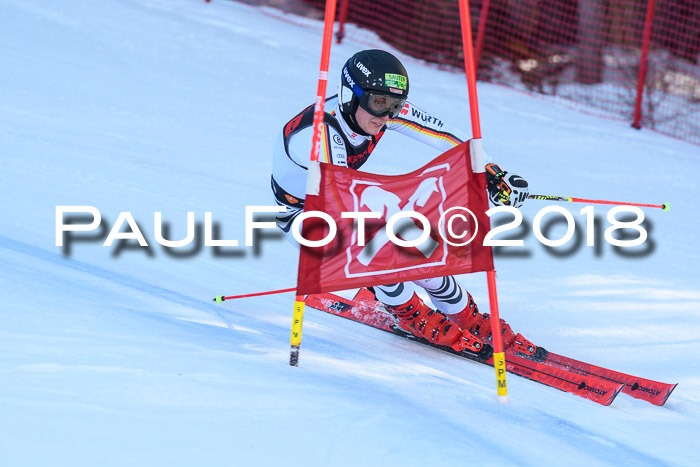Int. FIS Rennen Herren, RS, Maria Alm 10.01.2018