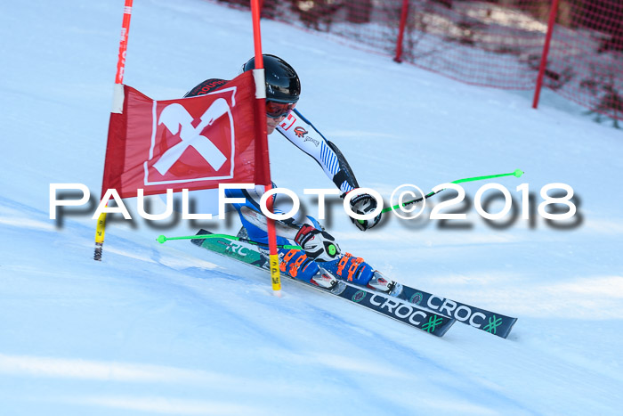 Int. FIS Rennen Herren, RS, Maria Alm 10.01.2018