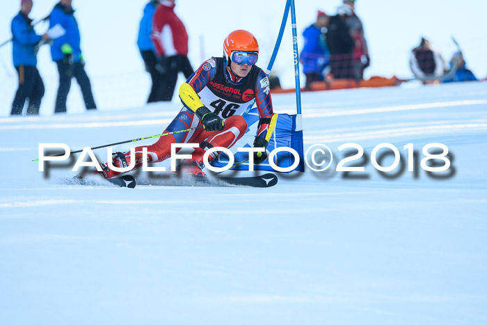 Int. FIS Rennen Herren, RS, Maria Alm 10.01.2018