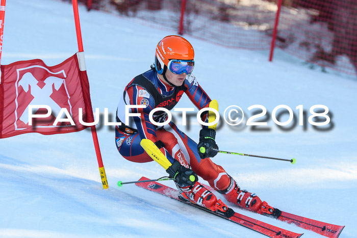 Int. FIS Rennen Herren, RS, Maria Alm 10.01.2018
