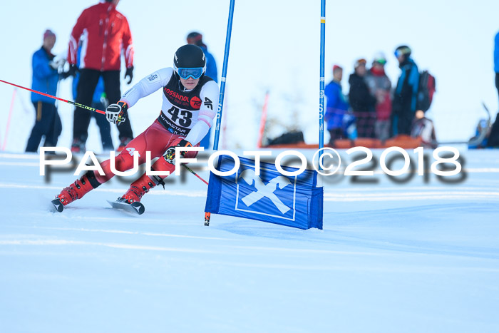 Int. FIS Rennen Herren, RS, Maria Alm 10.01.2018