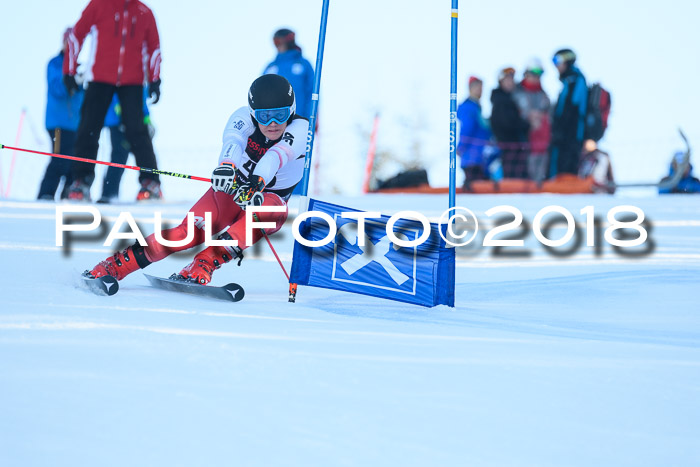 Int. FIS Rennen Herren, RS, Maria Alm 10.01.2018