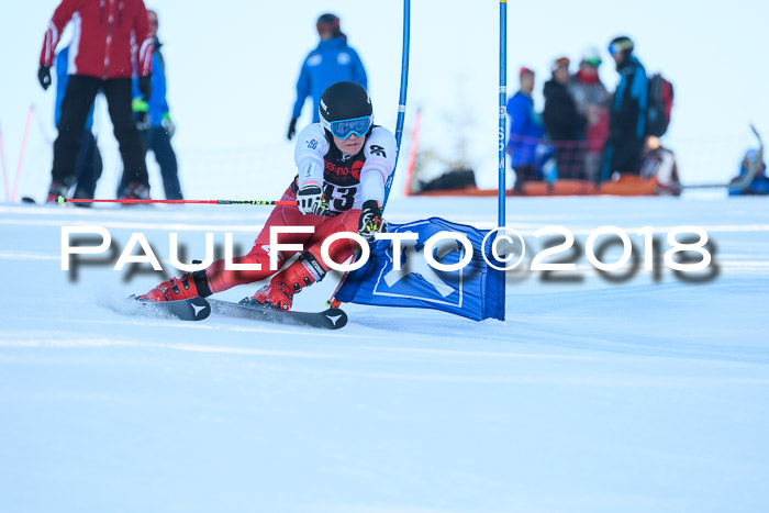 Int. FIS Rennen Herren, RS, Maria Alm 10.01.2018
