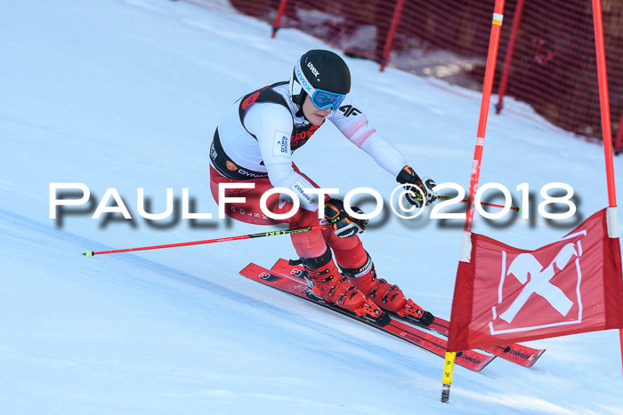 Int. FIS Rennen Herren, RS, Maria Alm 10.01.2018