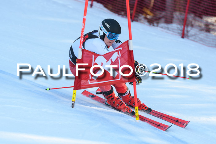 Int. FIS Rennen Herren, RS, Maria Alm 10.01.2018