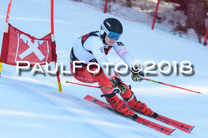 Int. FIS Rennen Herren, RS, Maria Alm 10.01.2018