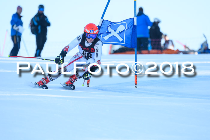 Int. FIS Rennen Herren, RS, Maria Alm 10.01.2018