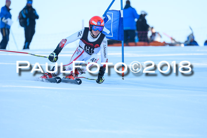 Int. FIS Rennen Herren, RS, Maria Alm 10.01.2018