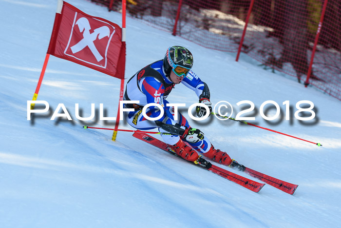 Int. FIS Rennen Herren, RS, Maria Alm 10.01.2018