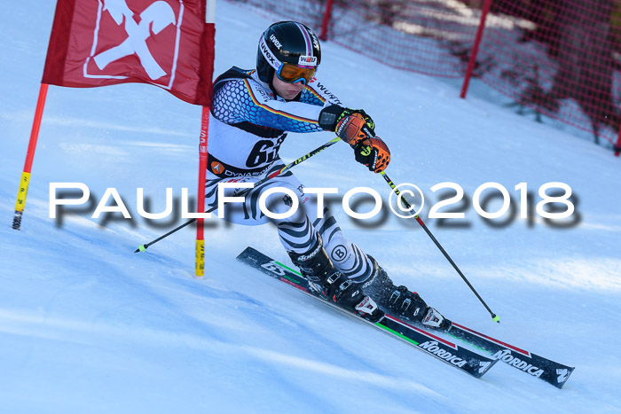 Int. FIS Rennen Herren, RS, Maria Alm 10.01.2018