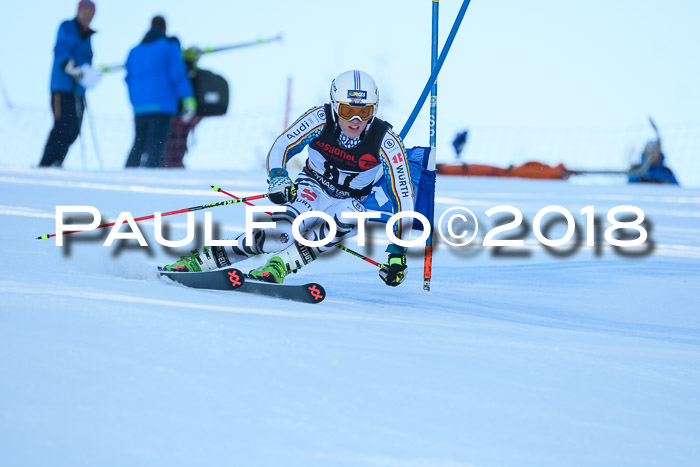 Int. FIS Rennen Herren, RS, Maria Alm 10.01.2018