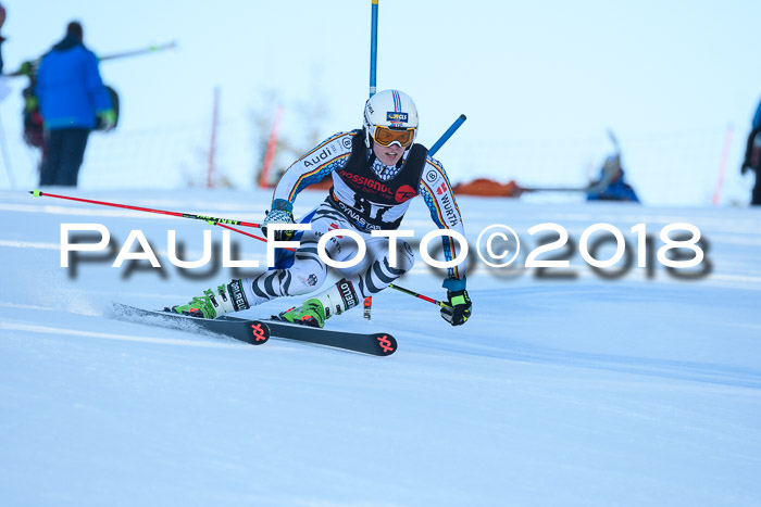 Int. FIS Rennen Herren, RS, Maria Alm 10.01.2018