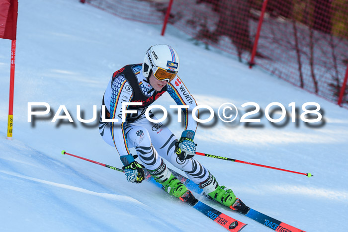 Int. FIS Rennen Herren, RS, Maria Alm 10.01.2018