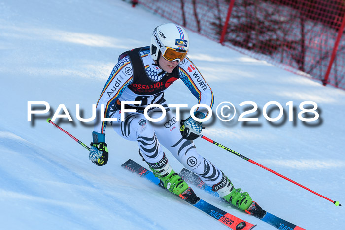 Int. FIS Rennen Herren, RS, Maria Alm 10.01.2018