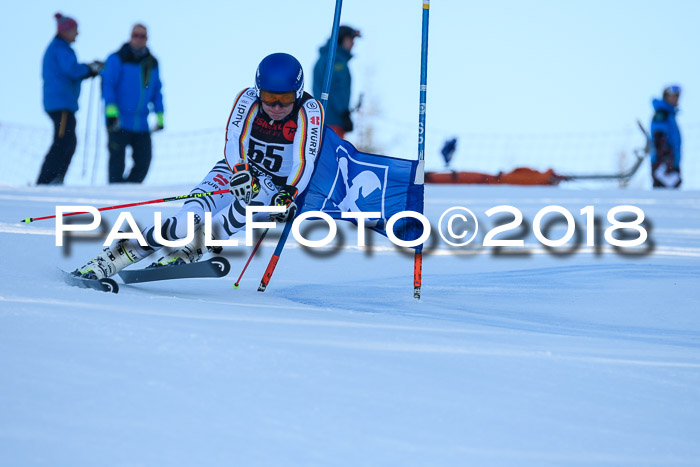 Int. FIS Rennen Herren, RS, Maria Alm 10.01.2018