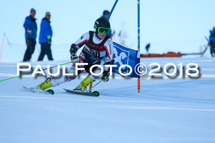 Int. FIS Rennen Herren, RS, Maria Alm 10.01.2018