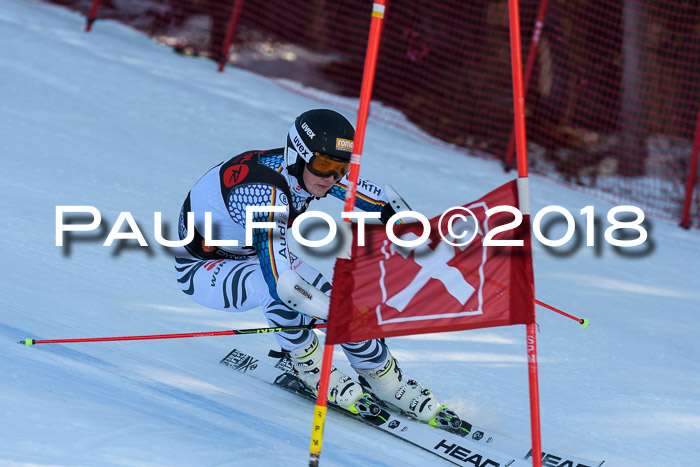 Int. FIS Rennen Herren, RS, Maria Alm 10.01.2018