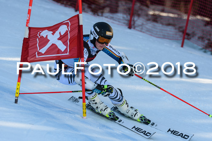 Int. FIS Rennen Herren, RS, Maria Alm 10.01.2018