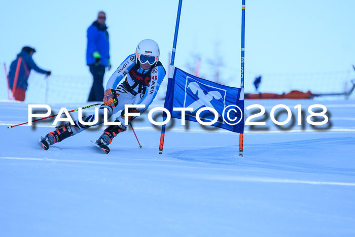 Int. FIS Rennen Herren, RS, Maria Alm 10.01.2018