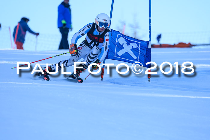 Int. FIS Rennen Herren, RS, Maria Alm 10.01.2018
