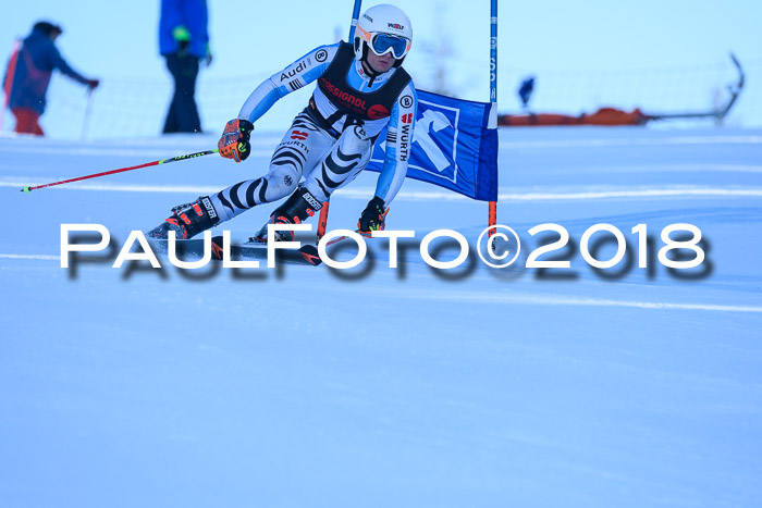 Int. FIS Rennen Herren, RS, Maria Alm 10.01.2018
