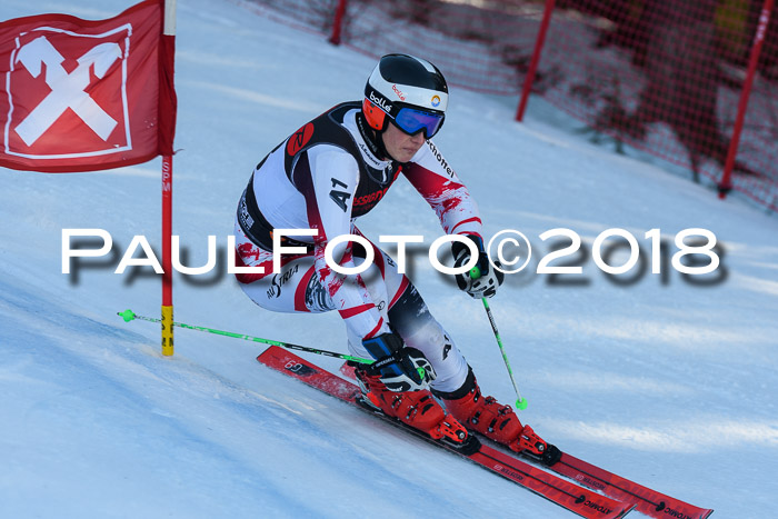 Int. FIS Rennen Herren, RS, Maria Alm 10.01.2018